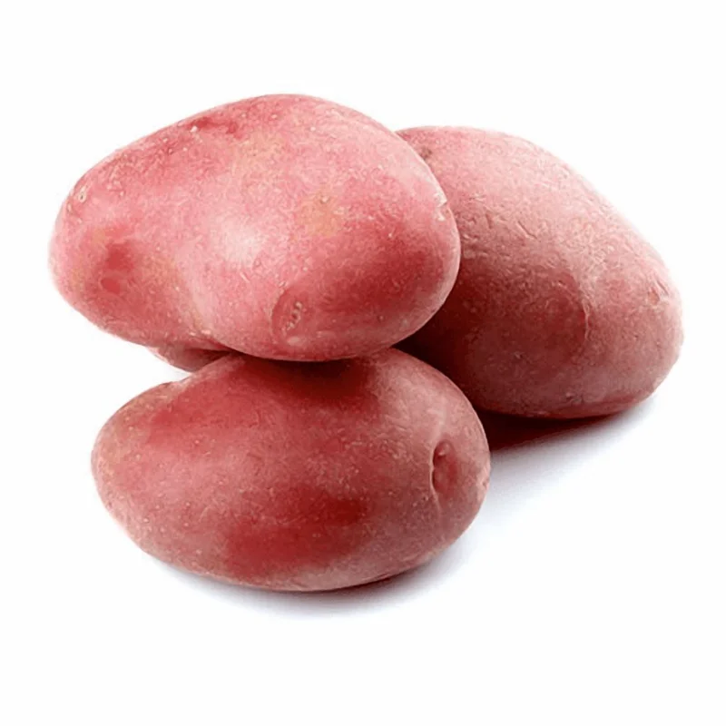 Red Potato Seeds for Planting – 2 Lbs Whole Tubers – Vegetable Seeds – Outdoor Red Potato Seeds for Planting – 2 Lbs Whole Tubers – Vegetable Seeds – Outdoor - Image 5
