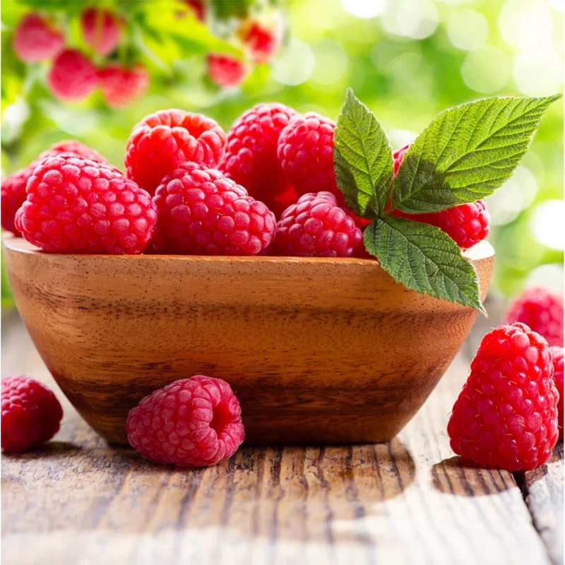 Red Raspberry Live Plant - 5 to 10 Inch Tall Dormant Starter Bush for Sweet Berries - Image 2