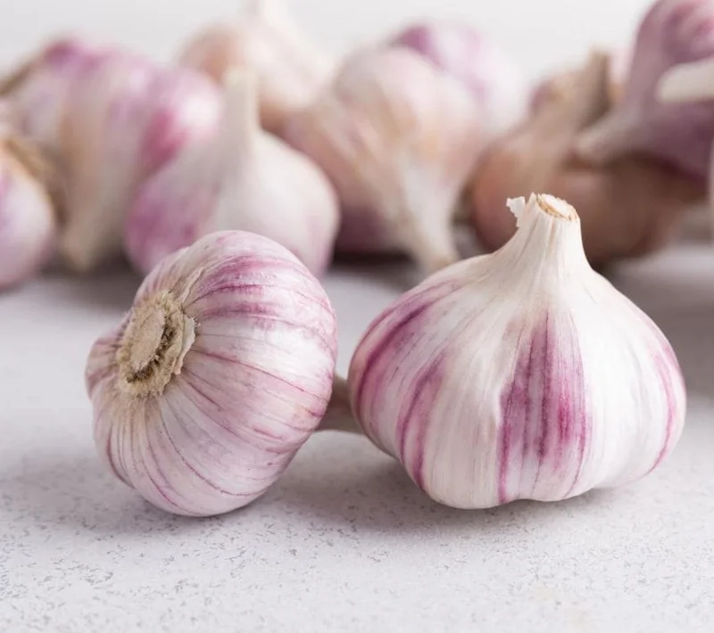 Red Russian Hardneck Garlic Bulbs – 8 Count – For Planting & Gardening Red Russian Hardneck Garlic Bulbs – 8 Count – For Planting & Gardening - Image 6