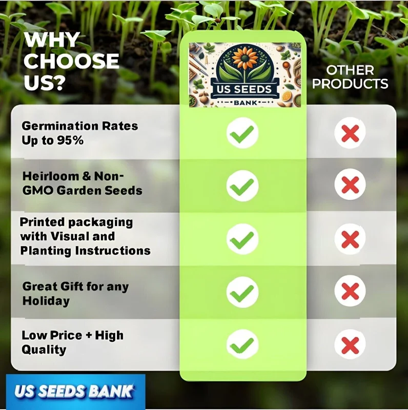 Rose Plant Seeds & Cuttings - Grow Your Own Beautiful Roses for Garden & Indoors Rose Plant Seeds & Cuttings - Grow Your Own Beautiful Roses for Garden & Indoors - Image 6