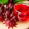 Roselle Seeds (25 Count) - Asian Sour Leaf, Red Sorrell, Florida Cranberry - Image 1