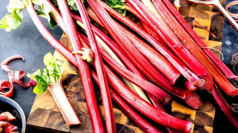 Set of 10 Victoria Rhubarb Bulbs - Heirloom Perennial Root Plants for Planting Set of 10 Victoria Rhubarb Bulbs - Heirloom Perennial Root Plants for Planting - Image 3