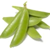 Snap Pea Live Plants - Sweet Edible Pods, 3-5 Inch Tall, 2 Plants - Image 1