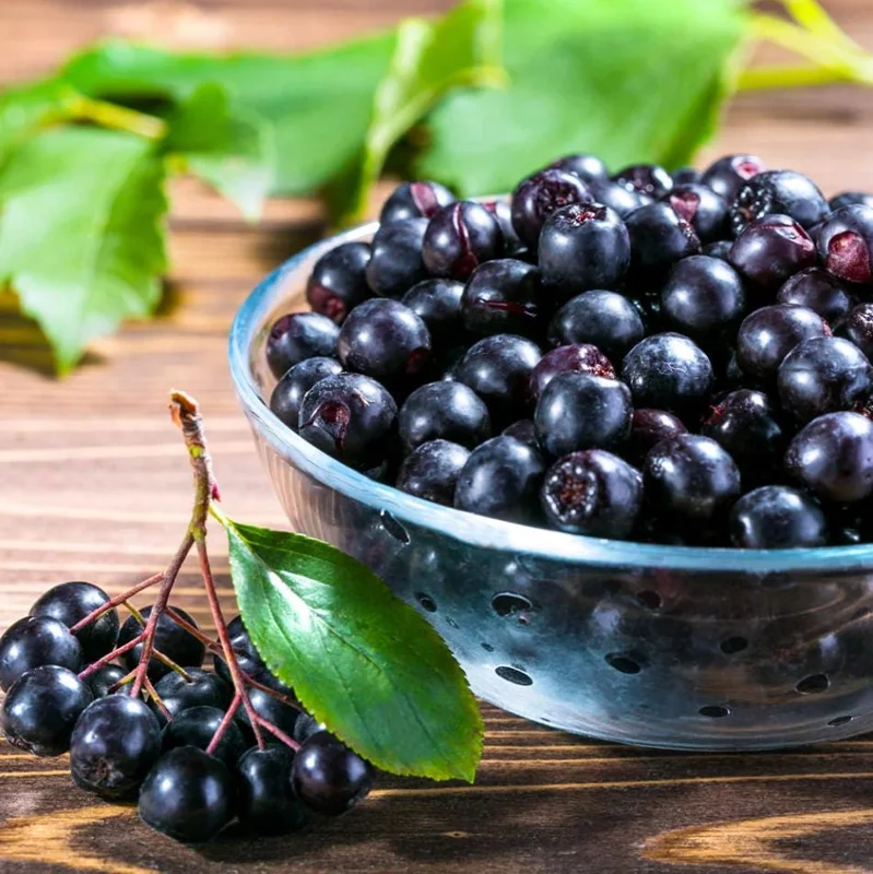 Sweet Black Huckleberry Live Plant for Outdoor Planting, 4-7 Inch Tall, 4 Inch Pot Sweet Black Huckleberry Live Plant for Outdoor Planting, 4-7 Inch Tall, 4 Inch Pot - Image 6
