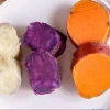 Sweet Potato Slips Variety Pack - 15 Live Slips (Beauregard, Japanese White, Purple) Sweet Potato Slips Variety Pack - 15 Live Slips (Beauregard, Japanese White, Purple) - Image 1