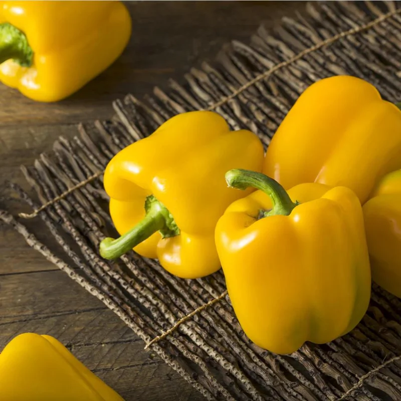 Yellow Bell Pepper Live Plant - 3-5 Inch Tall, 2 Plants for Garden Yellow Bell Pepper Live Plant - 3-5 Inch Tall, 2 Plants for Garden - Image 5