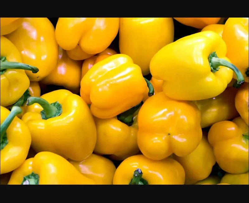 Yellow Bell Pepper Live Plant - 3-5 Inch Tall, 2 Plants for Garden Yellow Bell Pepper Live Plant - 3-5 Inch Tall, 2 Plants for Garden - Image 9