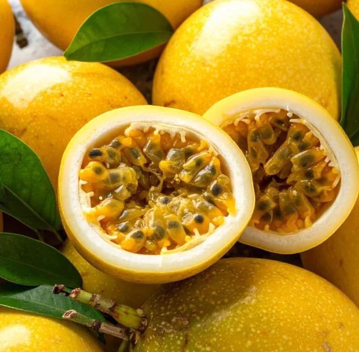 Yellow Passion Fruit Plant Live – Tropical Vine 4 Inch Pot 10-12 Inches Tall Yellow Passion Fruit Plant Live – Tropical Vine 4 Inch Pot 10-12 Inches Tall - Image 2