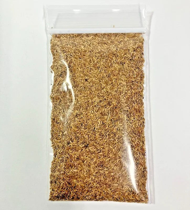 Zenith Zoysia Grass Seeds for Lawn - 1 oz Packet - Perennial, Easy Care, Indoor/Outdoor Zenith Zoysia Grass Seeds for Lawn - 1 oz Packet - Perennial, Easy Care, Indoor/Outdoor - Image 1