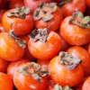 American Persimmon Tree Live Plant - Cold Hardy Fruit Seedling, 6-12 Inches Tall, Quart Pot - Image 1