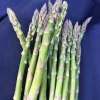 Asparagus Mary Washington – 10 Two-Year-Old Crowns – Hardy Perennial Vegetable Plant - Image 1