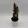 Euphorbia Red Trigona Live Plant - Vibrant Red Houseplant in 4" Pot - Image 1