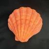 Large Orange Lion's Paw Sea Shell - Natural Marine Specimen Decor - Image 1