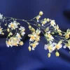 Oncidium Twinkle 'Fantasy' Miniature Orchid Live Plant 2.5" Pot - Image 1