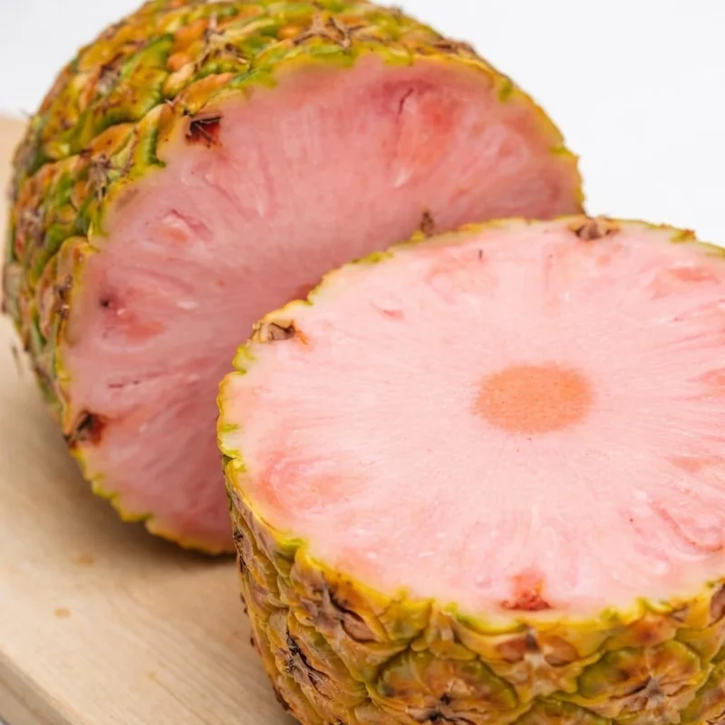 Pinkglow Pineapple Seeds - 15+ Rare Pink Pineapple Seeds for Home Garden - Image 2