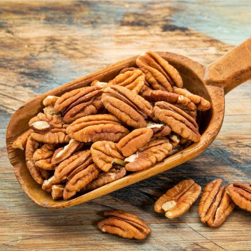 Set 5 Pecan Bareroots for Planting - Live Hardy Nut Trees, 10-15 Inch Tall Set 5 Pecan Bareroots for Planting - Live Hardy Nut Trees, 10-15 Inch Tall - Image 9