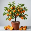 Set of 5 American Persimmon Bareroot Trees, 10-15 Inch, Cold Hardy Fruit - Image 1