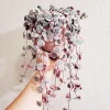 Variegated String of Hearts Live Succulent Plant 2 Inch Pot Ceropegia Woodii Variegata Trailing - Image 1