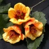 Abutilon 'Painted Bells' Live Plant - 1-2ft Tall Flowering Shrub in 6” Pot Abutilon 'Painted Bells' Live Plant - 1-2ft Tall Flowering Shrub in 6” Pot - Image 1