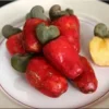 Cashew Live Plant – 1-2 ft Tall Tree, Ships in 3 Gallon Pot – Tropical Fruit Tree Cashew Live Plant – 1-2 ft Tall Tree, Ships in 3 Gallon Pot – Tropical Fruit Tree - Image 1