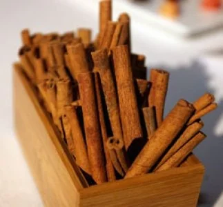 Cinnamon Tree Live Plant - 6 to 12 Inches Tall, Ships in 6 Inch Pot - Image 2