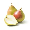 Comice Pear Tree - 4 Feet Tall Live Plant - Ships in 3 Gallon Pot - Image 1