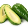 Fuerte Avocado Live Plant - 1 to 2 Feet Tall Grafted Tree in 6" Pot Fuerte Avocado Live Plant - 1 to 2 Feet Tall Grafted Tree in 6" Pot - Image 1
