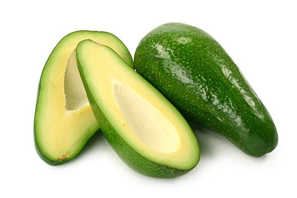 Fuerte Avocado Live Plant - 1 to 2 Feet Tall Grafted Tree in 6" Pot - Image 1