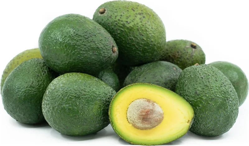 Gwen Avocado Tree - 1 Foot Tall Grafted Live Plant - Outdoor Fruit Tree - Image 1
