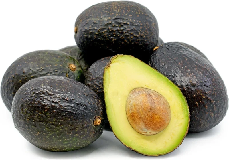 Hass Avocado Tree - 3 ft Tall Grafted Live Plant - Bigger Trunk - Image 1
