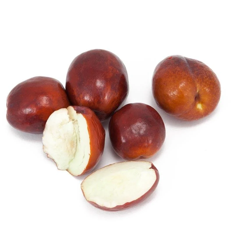 Jujube Li Live Tree - 3 Feet Tall Grafted Fruit Plant - 3 Gallon Pot - Image 1