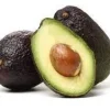 Lamb Hass Avocado Tree - 3 Feet Tall Grafted Live Plant - Outdoor Fruit Tree - Image 1