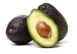 Lamb Hass Avocado Tree - 3 Feet Tall Grafted Live Plant - Outdoor Fruit Tree - Image 1