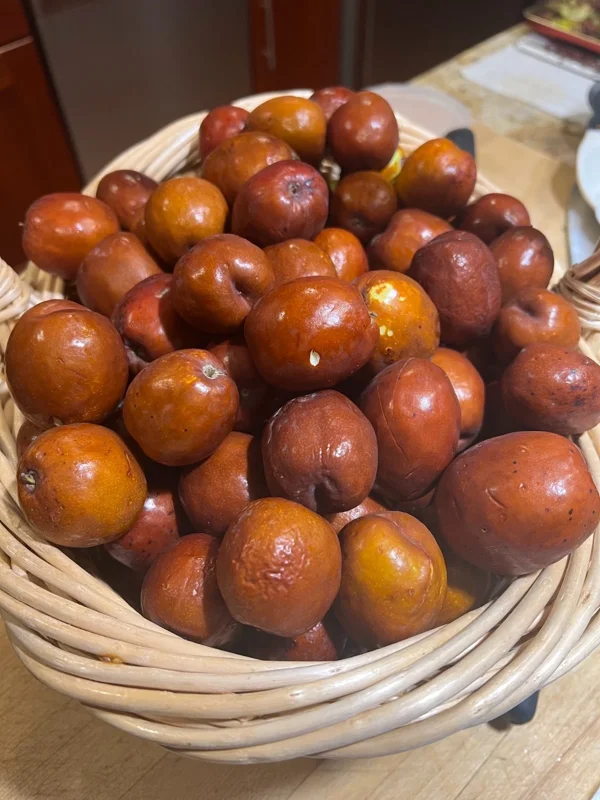 Li Jujube Tree Live Plant - 2 Year Old 'Chinese Date' Fruit Tree - 2-4 ft Tall Outdoor - Image 1