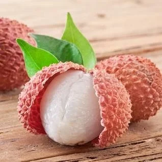 Lychee Tree Live Plant – 1-2 Feet Tall – Airlayered – Outdoor Fruit Tree - Image 1