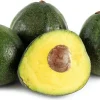 Nabal Avocado Tree Live Plant - Grafted - 1 Foot Tall - Outdoor - Image 1