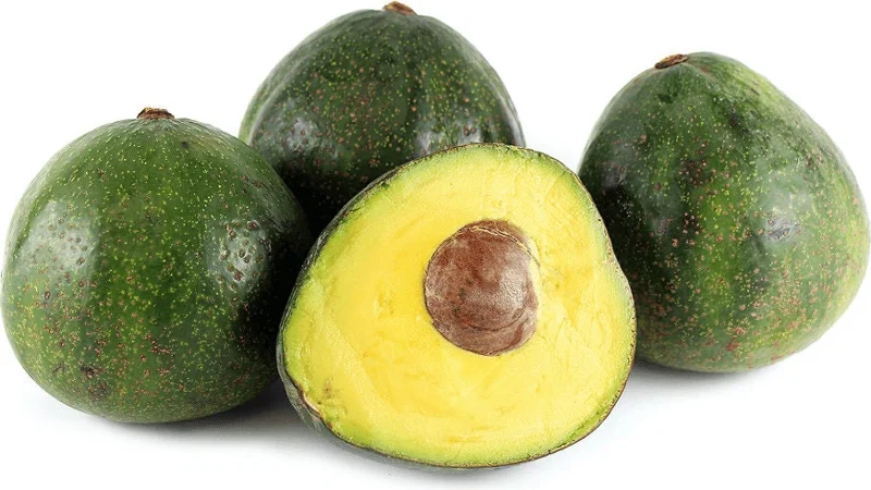 Nabal Avocado Tree Live Plant - Grafted - 1 Foot Tall - Outdoor - Image 1