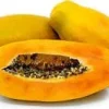 Papaya Tree Live Plant - 1 Ft Tall, Tropical Fruit Tree in 6" Pot - Image 1