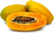 Papaya Tree Live Plant - 1 Ft Tall, Tropical Fruit Tree in 6" Pot - Image 1