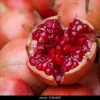 Pomegranate Live Plant - 2-3 Feet Tall - Produces Fruit - Ships in 3 Gallon Pot - Image 1