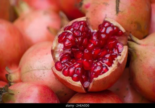 Pomegranate Live Plant - 2-3 Feet Tall - Produces Fruit - Ships in 3 Gallon Pot - Image 1