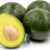 Reed Avocado Tree Live Plant - Grafted, 2-3 Ft Tall in 3 Gallon Pot Reed Avocado Tree Live Plant - Grafted, 2-3 Ft Tall in 3 Gallon Pot - Image 1