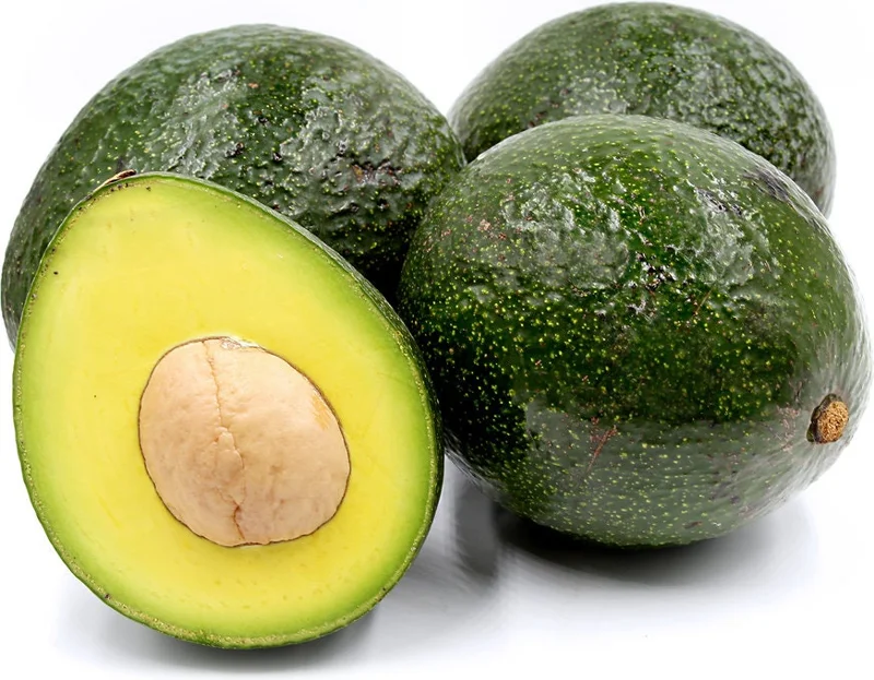 Reed Avocado Tree Live Plant - Grafted, 2-3 Ft Tall in 3 Gallon Pot - Image 1