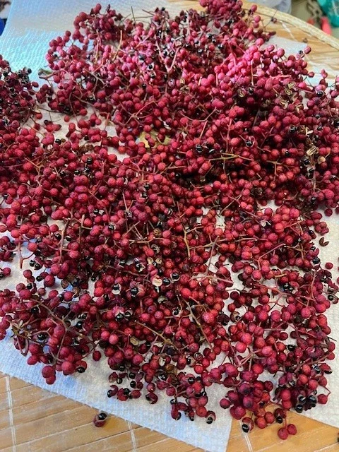 Sichuan Pepper Seeds (Zanthoxylum Simulans) - 300+ Chinese Prickly Ash Seeds - Image 2