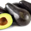 Stewart Avocado Tree – Live Grafted Plant – 1 Foot Tall - Image 1