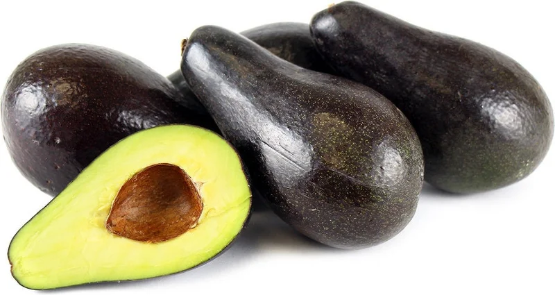 Stewart Avocado Tree – Live Grafted Plant – 1 Foot Tall - Image 1