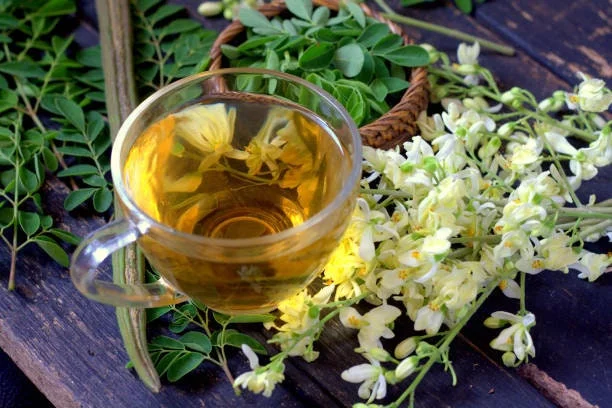 20 Moringa Seeds - Drumstick Tree Seeds - Easy to Grow Edible Leaf - Image 1