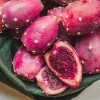 2x Spineless Prickly Pear Cactus Cuttings – Edible Pads – Easy Grow Live Plant - Image 1