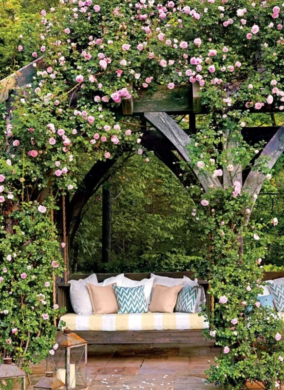 Wild Pink Climbing Rose Vine - Hardy Bare Root Live Plant 6-12 inches Wild Pink Climbing Rose Vine - Hardy Bare Root Live Plant 6-12 inches - Image 1